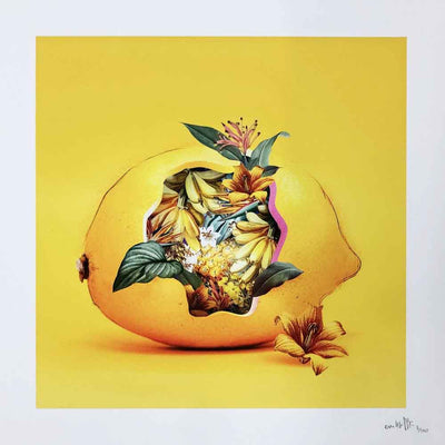 Lemon Blossom 2 Art Print by Emilie DeBlack - Art Republic