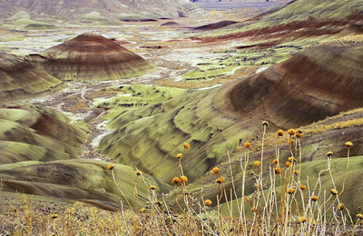 Painted Hills by Jo Crowther Photography Print by Jo Crowther - Art Republic