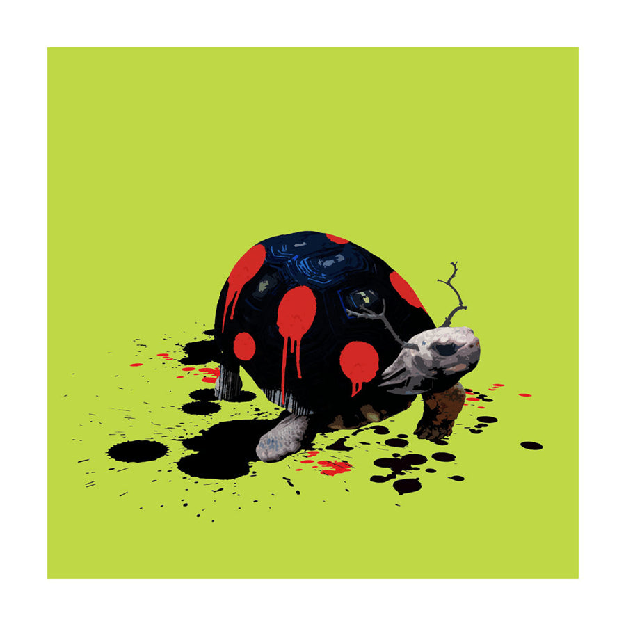 The Tortoise Who Wanted To Be A Ladybird Enlarged