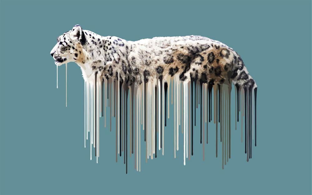 Snow Leopard Enlarged