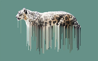 Snow Leopard - Sage Art Print by Carl Moore - Art Republic