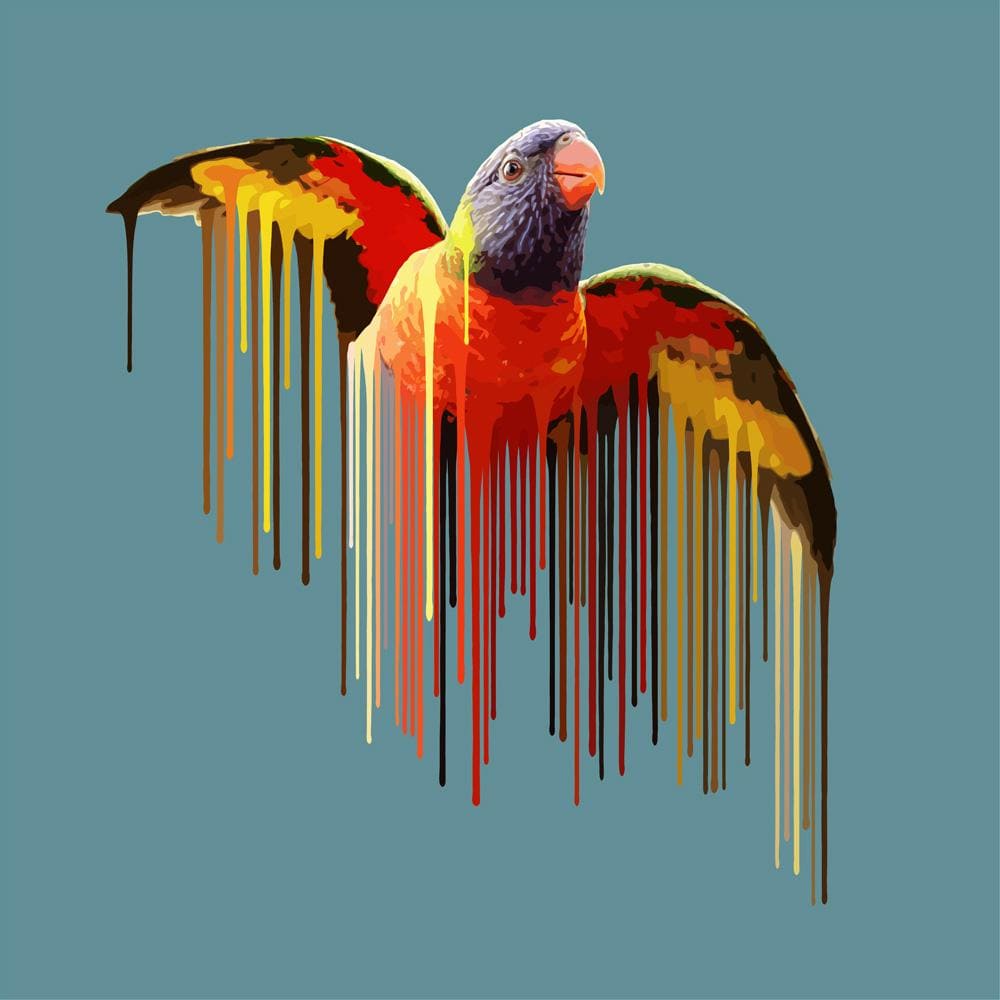 Parrot Enlarged