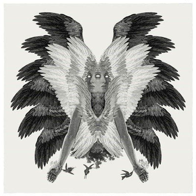 Colibri, 2016 Art Print by Dan Hillier - Art Republic