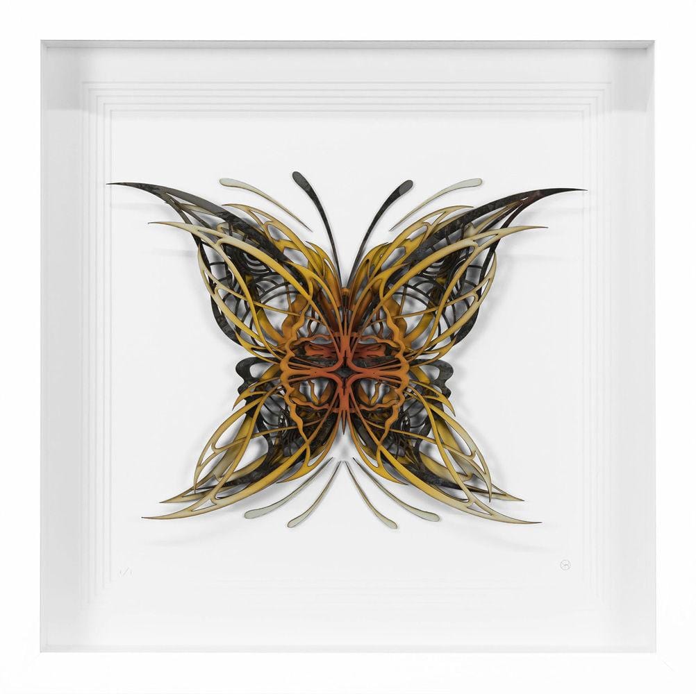 Butterfly Enlarged