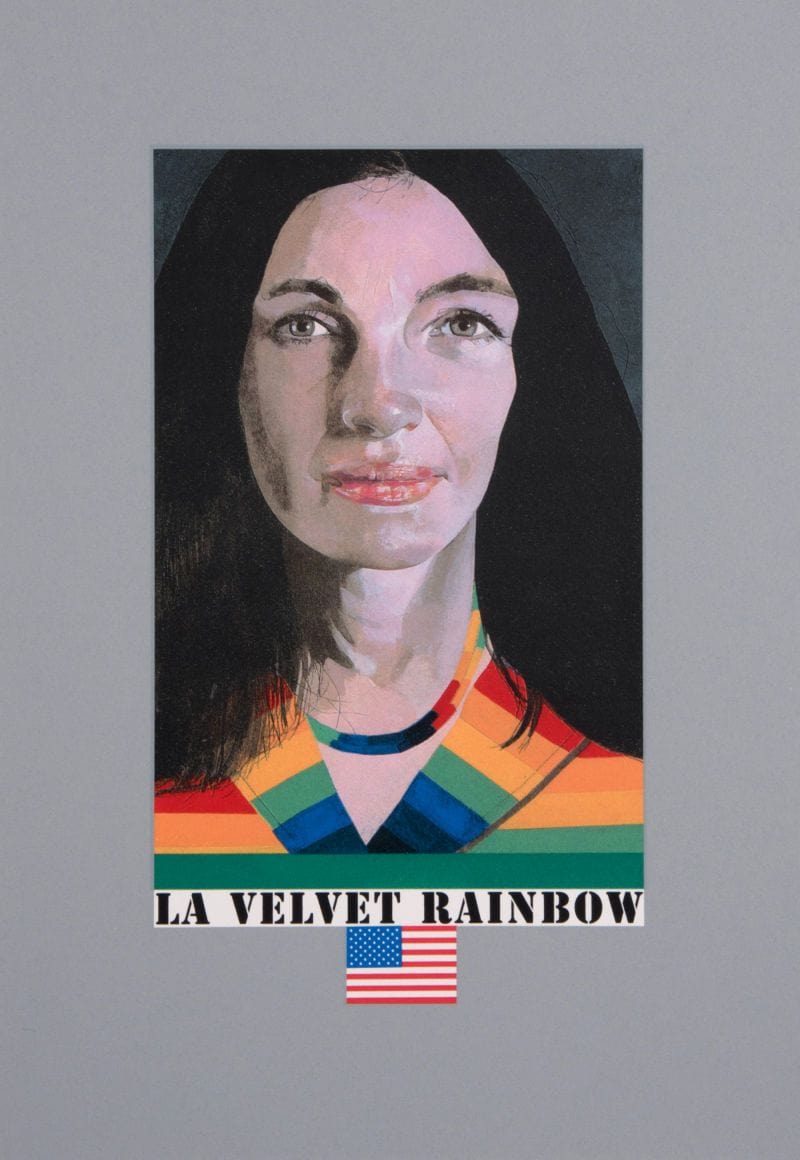 LA Velvet Rainbow Enlarged