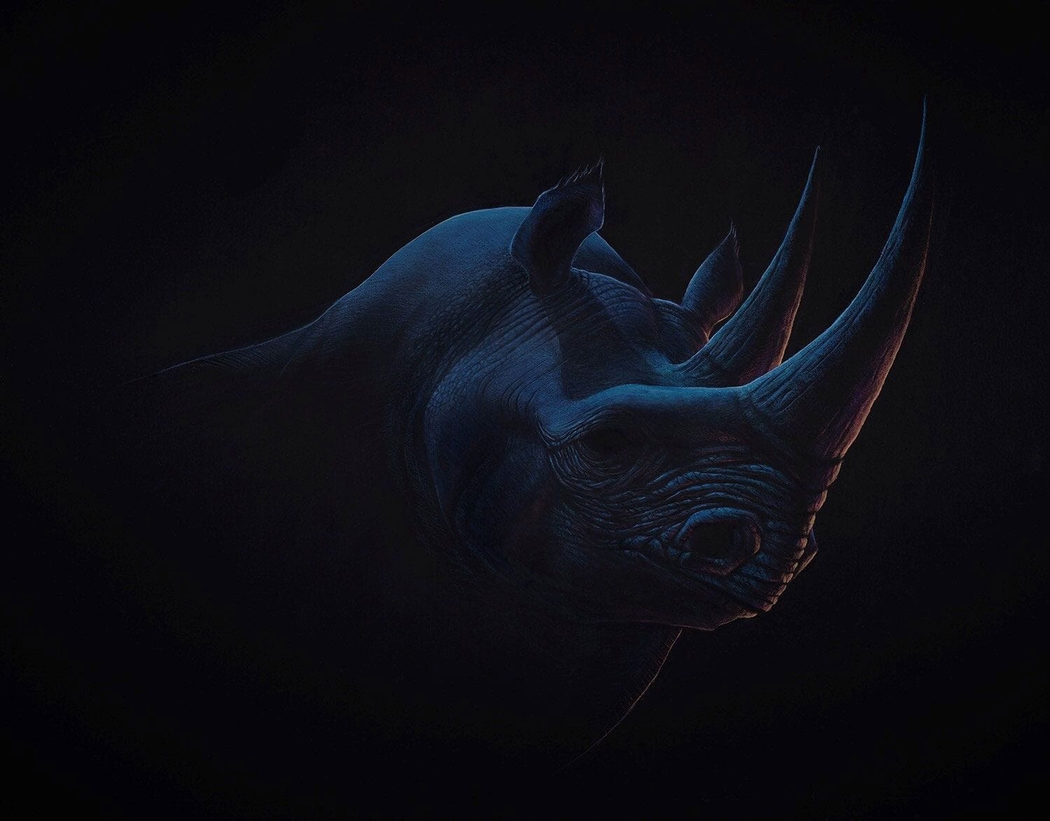 Night Rhino Enlarged