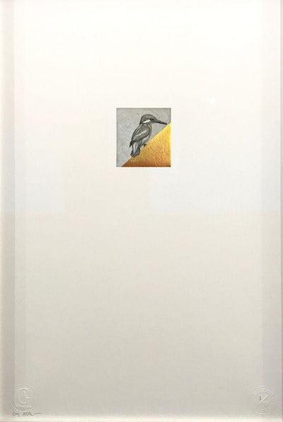 Kingfisher Study Art Print by Guy Allen - Art Republic
