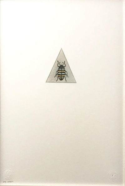 Golden Beetle Art Print by Guy Allen - Art Republic