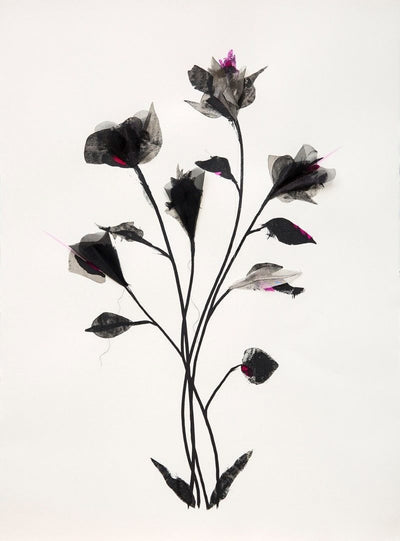 Shadow Flowers Pink By Rob Wass and Lara Hailey