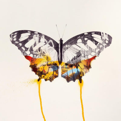 Graffiti Butterfly (Orange Edition) By Donk