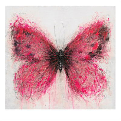 Pink Butterfly Art Print by Marion McConaghie - Art Republic