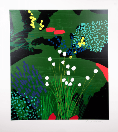 Lindleimer's Beeblossom By Bruce McLean