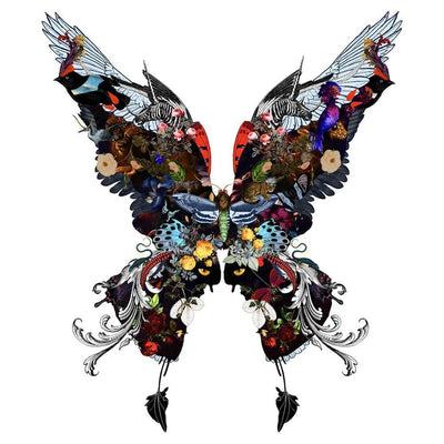 The Voyager Butterfly - Small Art Print by Kristjana S Williams - Art Republic