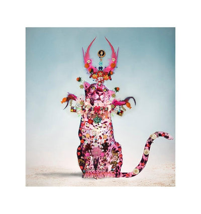 Pink Leopard XL By B-Brown and David Scheinmann