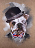 Dapper Dan British Bulldog