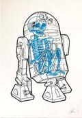 R2D2 X-Ray