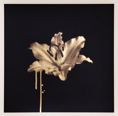 Gilded Lily - Gold-Leaf Art Print by Donk - Art Republic