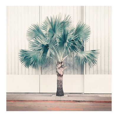 Palm Park Art Print by Nadia Attura