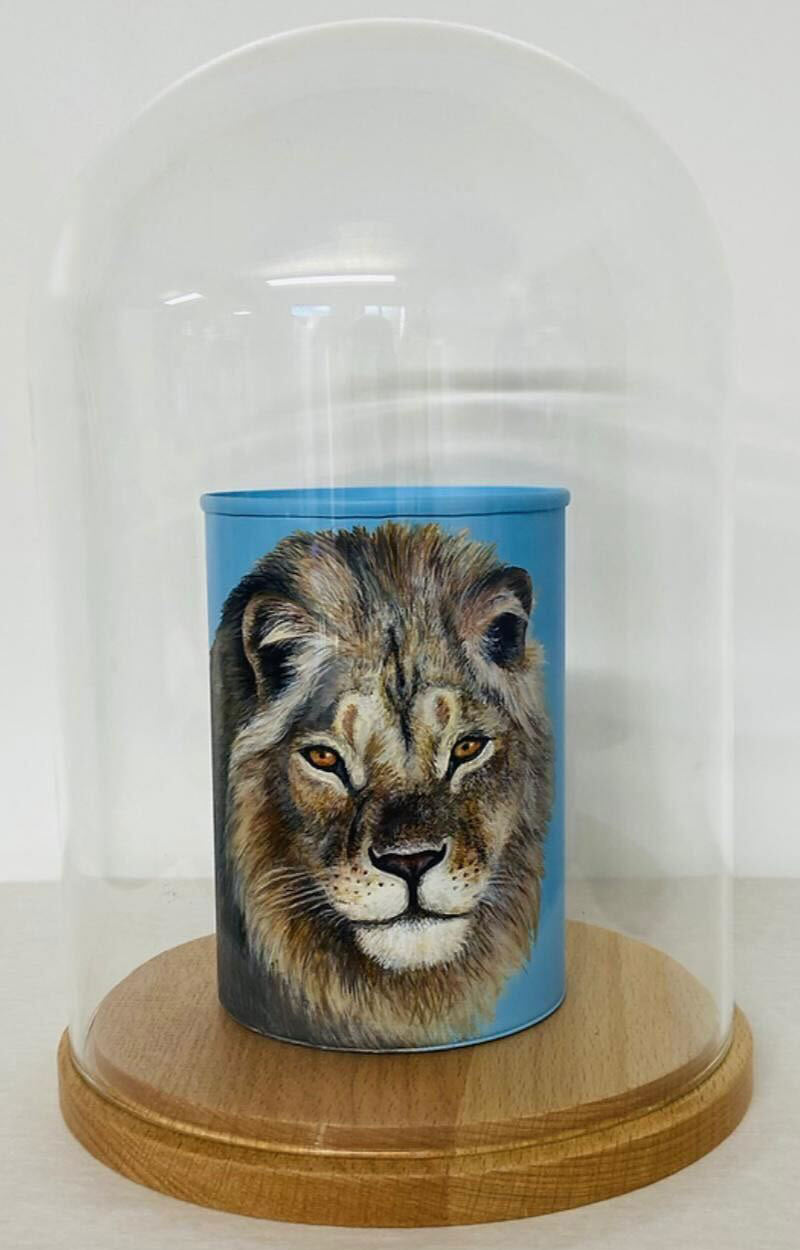 African Lion Can Enlarged