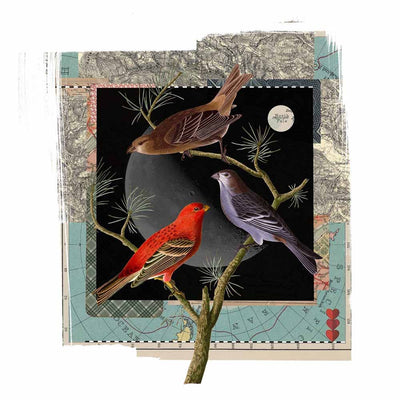 Moonbirds Art Print by James Bates - Art Republic