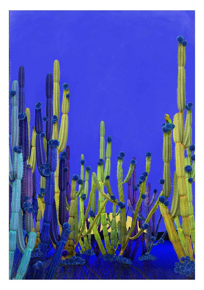Cactus Blue - Small Art Print by Nadia Attura