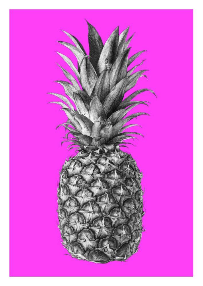 Rainforest Rewild Pineapple - A3 Pink Enlarged