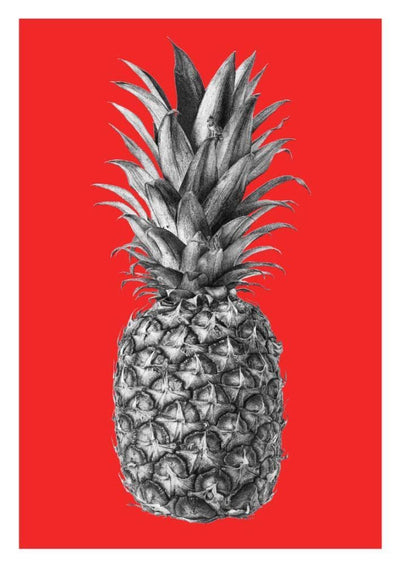 Rainforest Rewild Pineapple - A2 Red Art Print by CJP