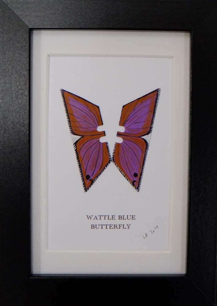 Framed Wattle Blue Butterfly Enlarged