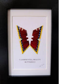 Framed Camberwell Beauty Butterfly by Lene Bladbjerg