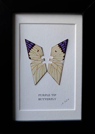Framed Purple Tip Butterfly by Lene Bladbjerg Enlarged