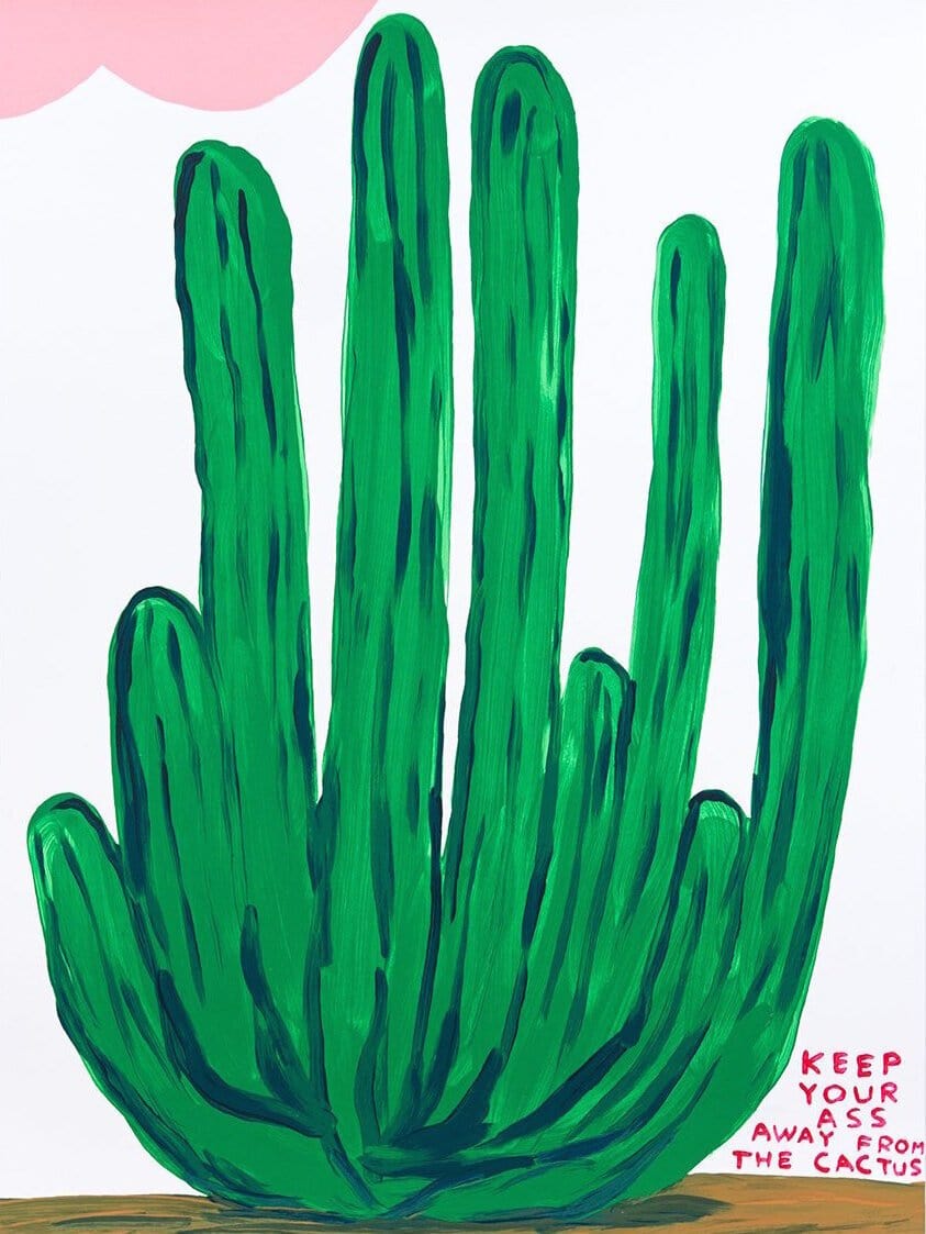 Keep Your Ass Away From The Cactus, 2020 Enlarged