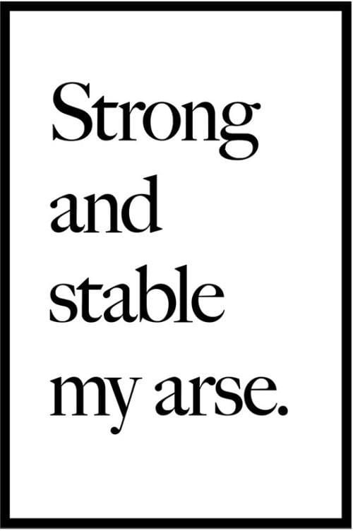 Strong and Stable My Arse, 2017 Enlarged