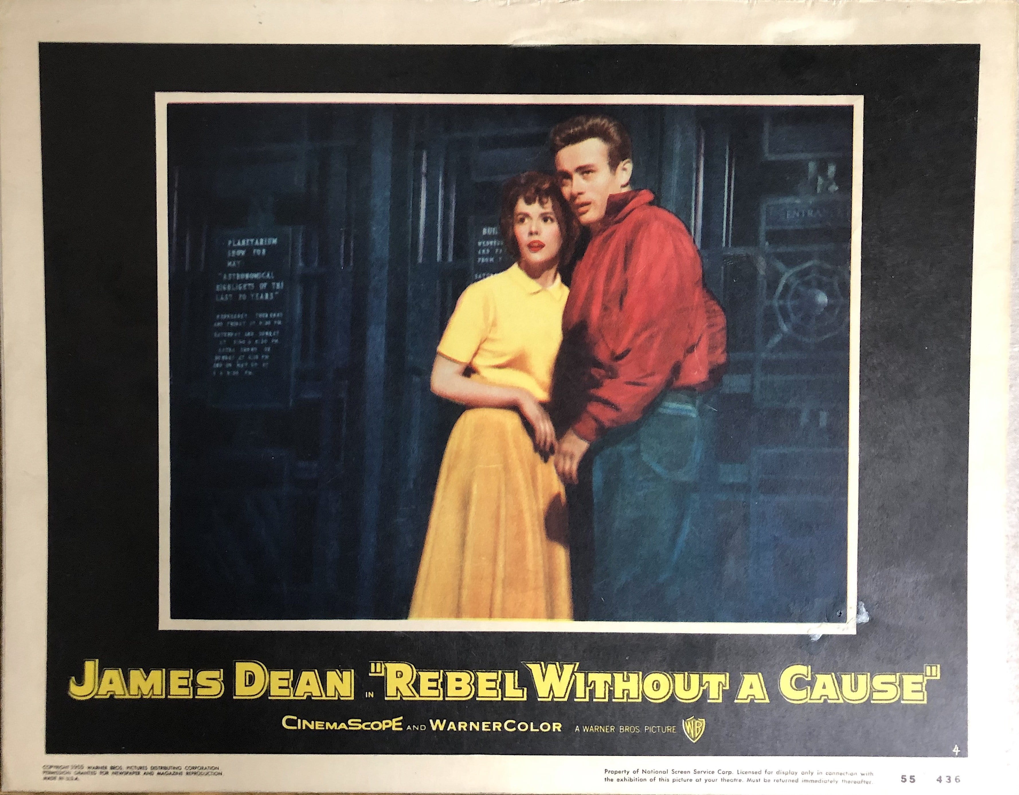 Rebel without a cause, 1955 Enlarged